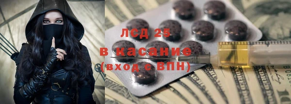 крисы Аркадак