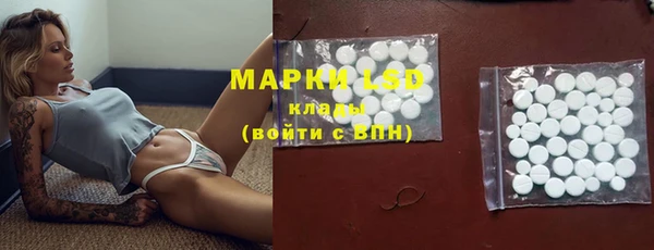 крисы Аркадак
