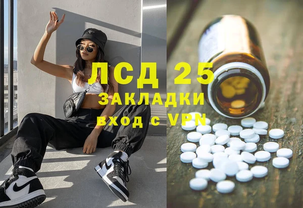 крисы Аркадак