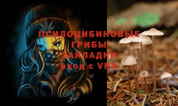 гашиш Арсеньев
