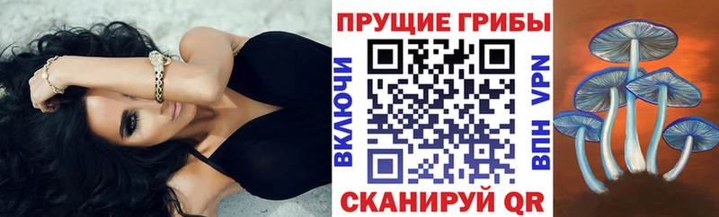 где найти наркотики  Макушино  Псилоцибиновые грибы ЛСД 
