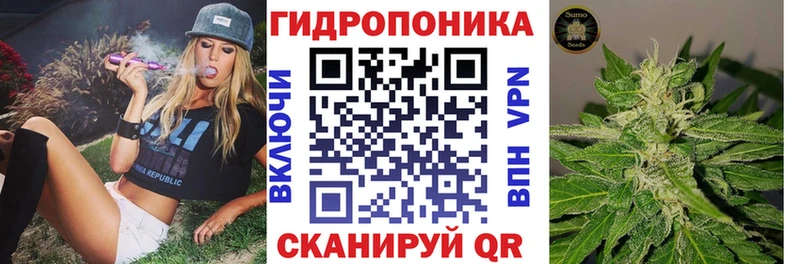 Шишки марихуана марихуана  Макушино 